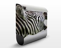 Klebefieber Briefkasten Brüllendes Zebra