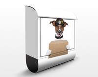 Klebefieber Briefkasten Hund mit Paket