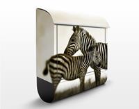 Klebefieber Briefkasten Zebrapaar