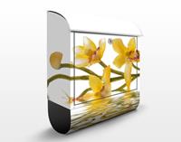 Klebefieber Briefkasten Saffron Orchid Waters