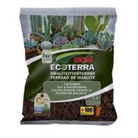 DCM Ecoterra cactus en vetplanten potgrond - 2,5 L