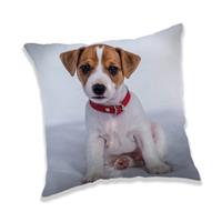Animal Pictures Kussen Puppy - 40 X 40 Cm - Polyester