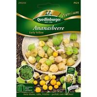 QUEDLINBURGER SAATGUT Ananasbeere Early Yellow | Beerensamen von Quedlinburger