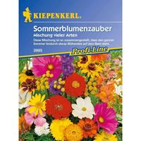 KIEPENKERL Sommerblumen-Zauber Mischung vieler Arten