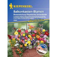 Blumenmischung Balkonkastenblumen pflegeleichte Sonnenkinder Mischung Saatband 5mtr