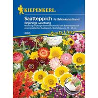 KIEPENKERL Balkonkastenblumen Einjährige Mischung (12,5 x 80 cm) (Saatteppich) | Blumensamenmischung von 
