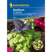 KIEPENKERL Basilikum Simply Herbs Try-Basil-Mix