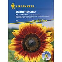 KIEPENKERL Sonnenblume Pro Cut Bicolor, F1