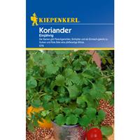 KIEPENKERL Koriander - Kräutersamen