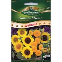 QUEDLINBURGER Saatband Sonnenblumen, niedrige Mischung