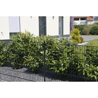 Home Deluxe Doppelstabmattenzaun grün I Gartenzaun, Zaun I Länge: 40m, Höhe: 0800 mm