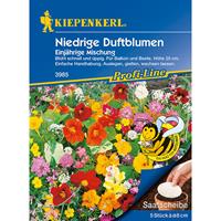 KIEPENKERL - FLOWER SEED Niedrige Duftblumenmischung, Duftender Steingarten, 5 Saatscheiben