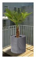 SPETEBO Thermo Topfschutz für Pflanzen - Größe ca. 40 x 40 cm