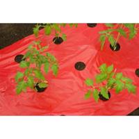 Nature Kweekfolie voor tomaten 0.95 x 5 m