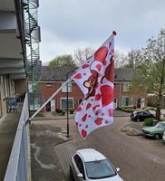 Vlaggenclub.nl Vlaggenstokhouder balkon voor spijlenhek