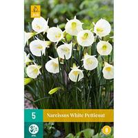 Tom-Garten Narzisse White Petticoat