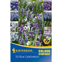 KIEPENKERL Colour Symphony Blue Celebration, blauer Blütentraum, Anemonen, Chionodoxa, Krokussen, Muscari und Scilla, Nektar für Nützlinge