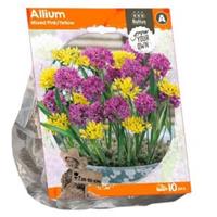 Baltus Bloembollen Baltus Allium Mixed Pink Yellow bloembollen per 10 stuks