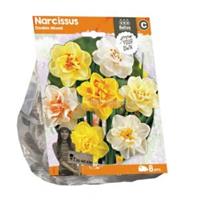 Baltus Bloembollen Baltus Narcissus Double Mixed bloembollen per 8 stuks
