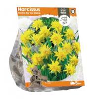 Baltus Bloembollen Baltus Narcissus Double Rip Van Winkle bloembollen per 5 stuks
