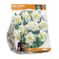Baltus Bloembollen Baltus Narcissus Double White Lion bloembollen per 5 stuks