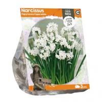 Baltus Bloembollen Baltus Narcissus Papyraceus bloembollen per 3 stuks