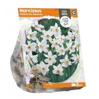Baltus Bloembollen Baltus Narcissus Poeticus var Recurvus bloembollen per 5 stuks