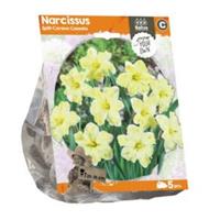 Baltus Bloembollen Baltus Narcissus Split Corona Cassata bloembollen per 5 stuks