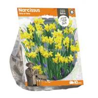 Baltus Bloembollen Baltus Narcissus Tete a Tete bloembollen per 10 stuks