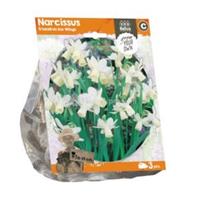 Baltus Bloembollen Baltus Narcissus Triandrus Ice Wings bloembollen per 3 stuks