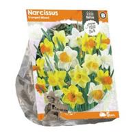 Baltus Bloembollen Baltus Narcissus Trumpet Mixed bloembollen per 5 stuks