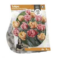 Baltus Bloembollen Baltus Tulipa Double Early Foxy Foxtrot tulpen bloembollen per 5 stuks