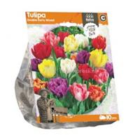 Baltus Bloembollen Baltus Tulipa Double Early Mixed tulpen bloembollen per 10 stuks