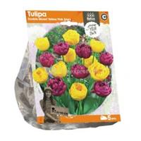 Baltus Bloembollen Baltus Tulipa Double Mixed Yellow Pink Stars tulpen bloembollen per 5 stuks