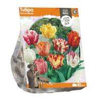Baltus Bloembollen Baltus Tulipa Parrot Mixed tulpen bloembollen per 10 stuks