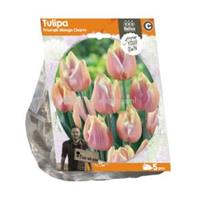 Baltus Bloembollen Baltus Tulipa Triumph Mango Charm tulpen bloembollen per 5 stuks