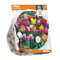 Baltus Bloembollen Baltus Tulipa Triumph Mixed tulpen bloembollen per 10 stuks