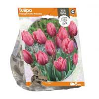 Baltus Bloembollen Baltus Tulipa Triumph Pretty Princess tulpen bloembollen per 5 stuks