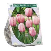 Baltus Bloembollen Baltus Tulipa Salmon Impression Darwin tulpen bloembollen per 15 stuks