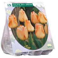 Baltus Bloembollen Baltus Tulipa Day Dream tulpen bloembollen per 15 stuks