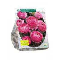 Baltus Bloembollen Baltus Ranunculus Roze Ranonkel bloembollen per 15 stuks