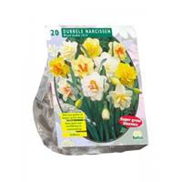 Baltus Bloembollen Baltus Narcissus Dubbel Mix bloembollen per 20 stuks