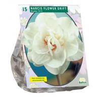 Baltus Bloembollen Baltus Narcissus Flower Drift bloembollen per 15 stuks