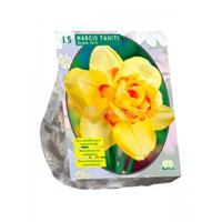 Baltus Bloembollen Baltus Narcissus Dubbel Tahati bloembollen per 15 stuks