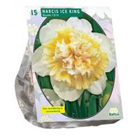 Baltus Bloembollen Baltus Narcissus Ice King bloembollen per 15 stuks