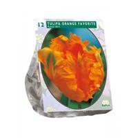 Baltus Bloembollen Baltus Tulipa Orange Favourite Parkiet tulpen bloembollen per 12 stuks