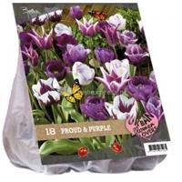 Baltus Bloembollen Baltus Urban Flowers Proud and Purple bloembollen per 18 stuks