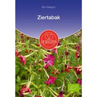 DEBOLSTER Ziertabak | BIO Blumensamen von De Bolster