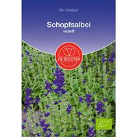 DEBOLSTER Schopfsalbei violetti | BIO Blumensamen von De Bolster