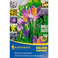 KIEPENKERL Colour Symphony Bienenparadies, Mischung aus Tulpen, Anemonen, Krokussen und anderen frühblühenden Zwiebeln